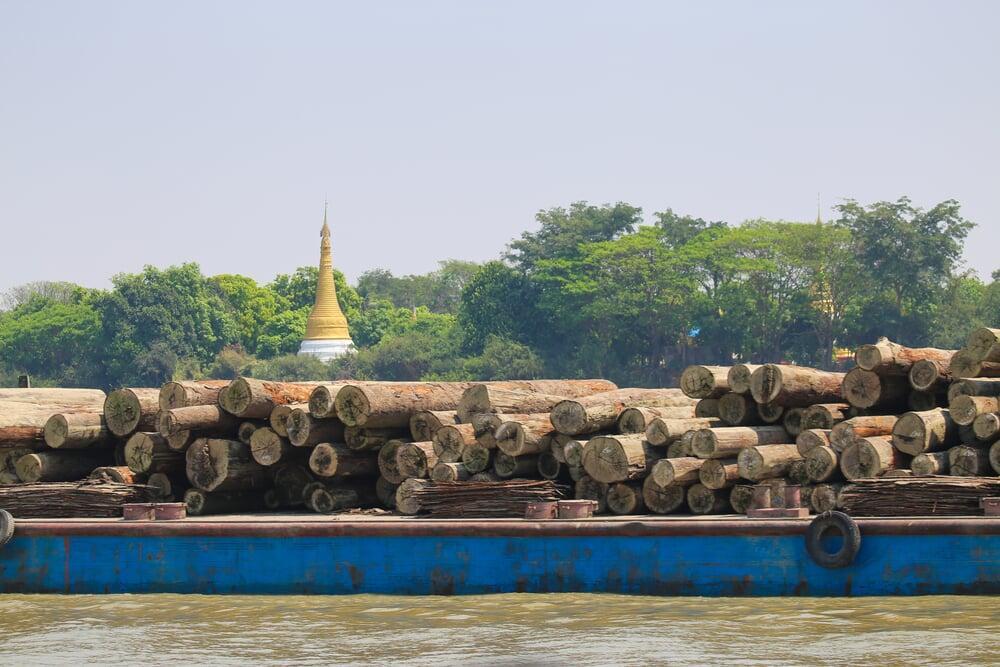 Brazil seizes 5,000 truckloads of illegal timber